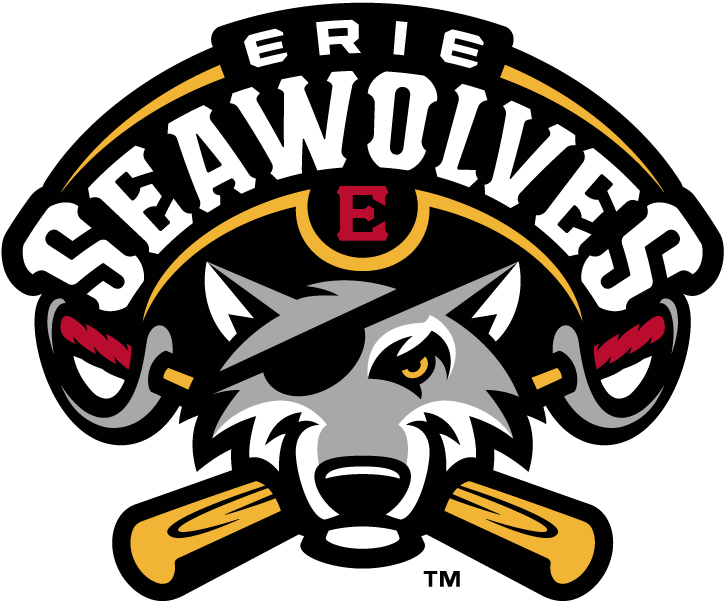 Erie SeaWolves 2013-Pres Primary Logo iron on transfers for clothing